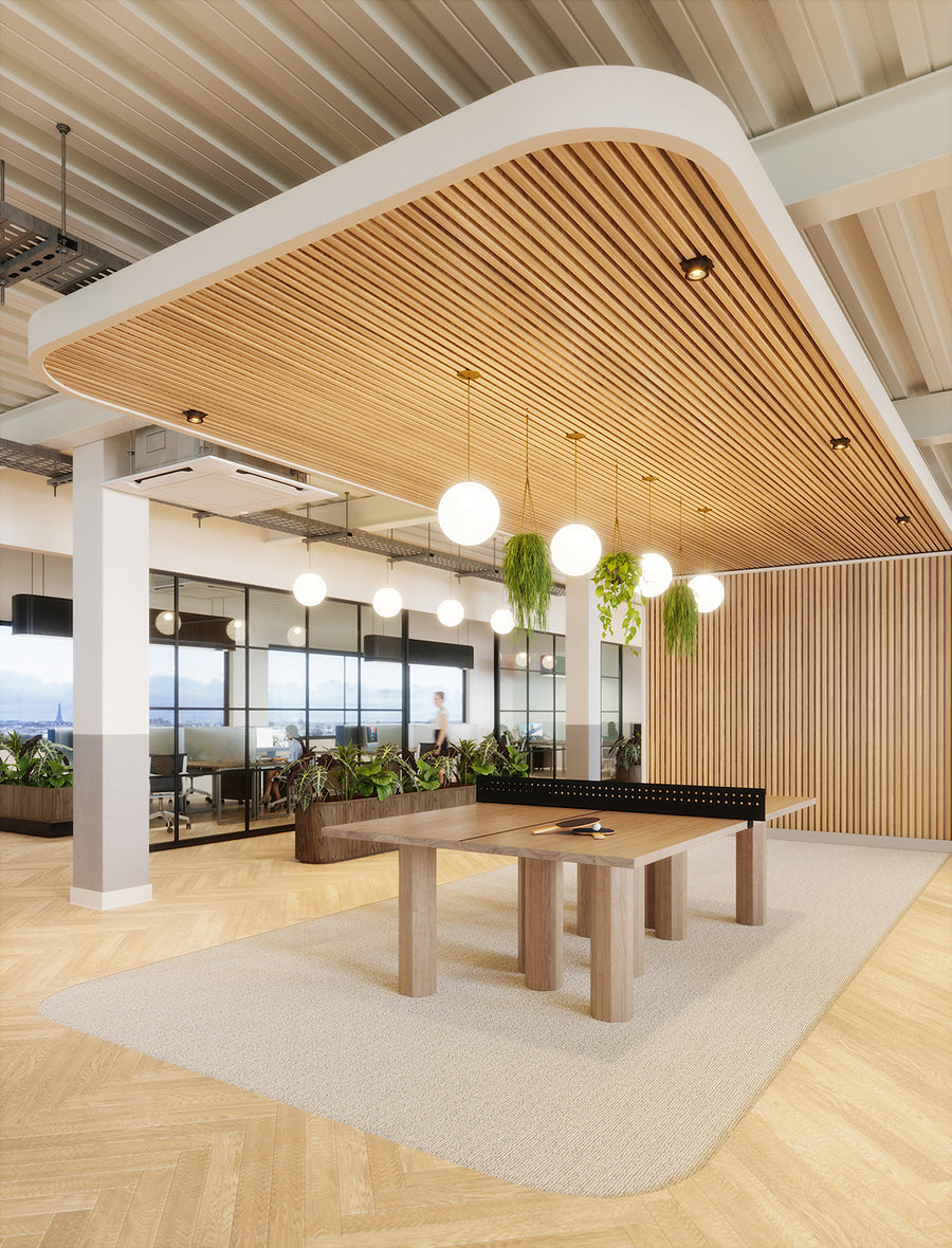 modern ping pong table indoor